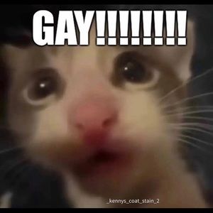 Meet your Posher, Kimora